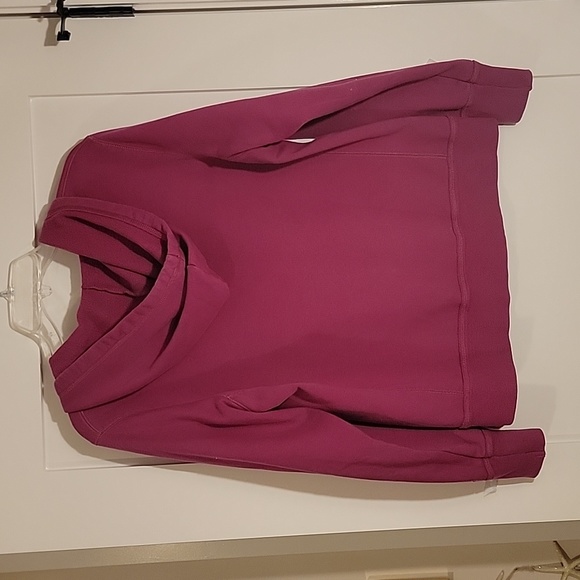Rasberry Champion Sweatshirt sz lg - Picture 5 of 5
